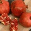 Red Silk Pomegranate