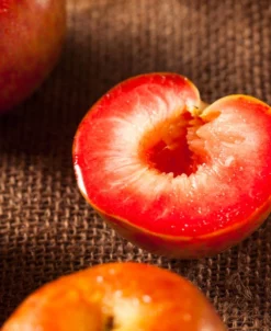 Dapple Dandy Pluot
